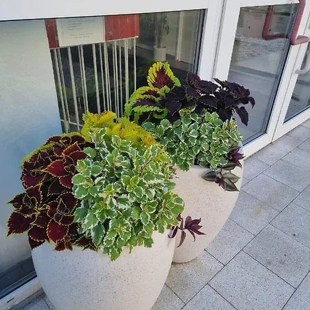 Bordo A4 V Chomutove Apartment *