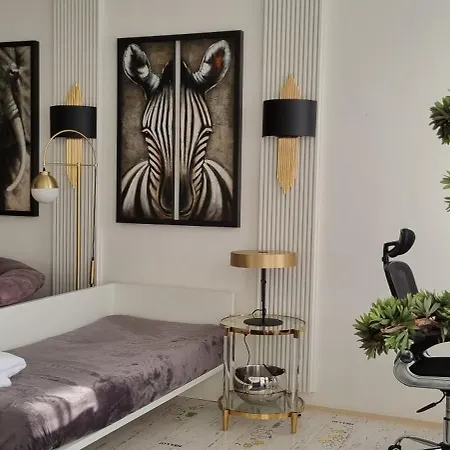 Apartment Bordo A4 V Chomutove *